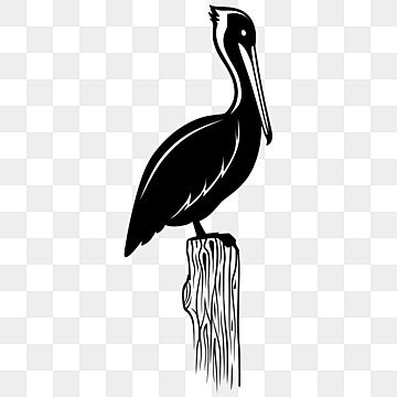 pelican,animal,bird,wildlife,wild,design,graphic,nature,wing,feather,isolated,zoo,cartoon,symbol,beak,white,art,element,sign,exotic,fly,emblem,flight,drawing,silhouette Vintage Pelican Illustration, Cartoon Pelican, Pelican Illustration, Flight Drawing, Zoo Cartoon, Drawing Silhouette, Element Signs, Bird Png, Wild Design