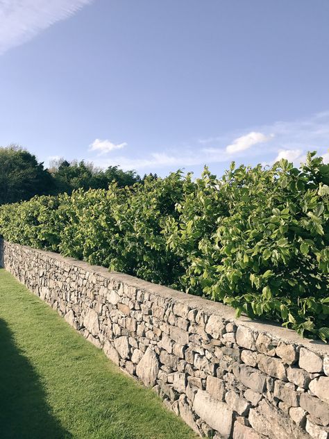 Stone Fences Ideas, Low Stone Wall, Dry Stone Wall Garden Ideas, Stone Fence Ideas, Stone Wall Garden, Tree Design On Wall, Building A Stone Wall, Stone Walls Garden, Stone Fence