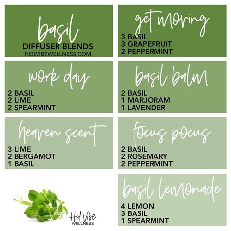 Basil - Hol Vibe Wellness Rosemary Peppermint Essential Oil Blend, Rosemary Diffuser Blends Doterra, Rosemary Essential Oil Diffuser Blends, Grapefruit Diffuser Blend, Tea Tree Diffuser Blends, Rosemary Essential Oil Blends, Rosemary Diffuser Blends, Spearmint Diffuser Blends, Smells Like Christmas