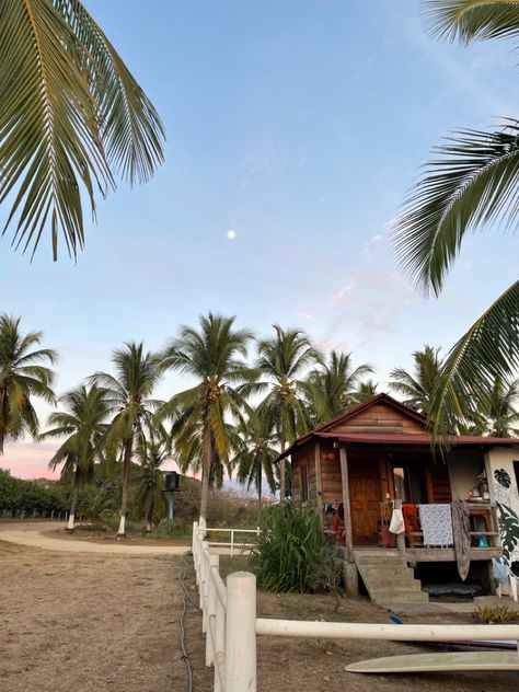 Small beach shack with surfboard in the front Shack On The Beach, Beach Shack Aesthetic, Surfer House, Surfer Shack, Fools Paradise, Sunrise Shack, Body Surfing, Body Boarding, Beach House Aesthetic