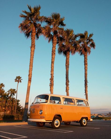 Yellow Vw Bus, 70s Volkswagen Van, Yellow Volkswagen Bus, Cali Vibes, Aurora Rose, Van Tour, Vintage Bus, Vans Yellow, Volkswagen Van