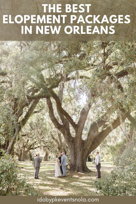 New Orleans, with its irresistible blend of enchanting charm and vibrant energy, is the perfect destination for couples seeking a remarkable elopement experience. | New Orleans elopement | New Orleans destination wedding | New Orleans wedding | New Orleans wedding venue | elopement venue | elope in New Orleans | intimate wedding inspiration | small wedding | elopement ideas | elopement destination ideas | small wedding New Orleans | intimate wedding Wedding Elopement Ideas, Wedding New Orleans, New Orleans Elopement, Nola Wedding, All Inclusive Wedding Packages, The Big Easy, Elopement Packages, Destination Ideas, New Orleans Wedding