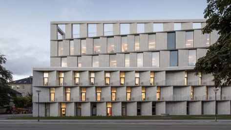 Hotel Facade, Student House, Parametric Design, Hotel Architecture, Social Housing, The Patient, Glass Roof, Building Facade, Facade Architecture