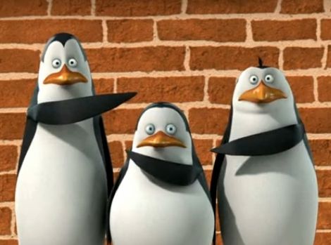 penguins of madagascar funny images - Google Search Penguin Madagascar, Penguins Of Madagascar Pfp, Penguins Madagascar, Madagascar Penguins, Penguins Of Madagascar Funny, Madagascar Penguins Funny, Pinguin Meme, Madagascar Movie, Memes Penguins Madagascar