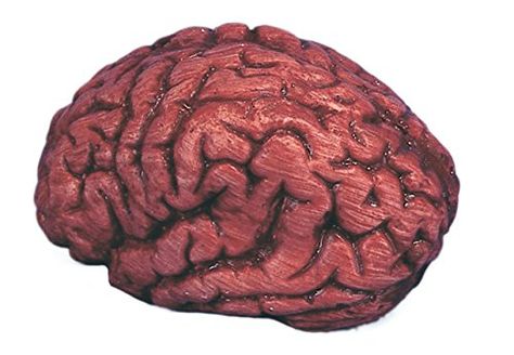 Loftus Bloody Brain Halloween 6 Decoration Prop Red White -- You can get additional details at the image link.Note:It is affiliate link to Amazon. Zombie Brains, Halloween 6, White Home, Perfect Curls, Clay Sculpture, Zombie, Toys Games, Brain, Red White