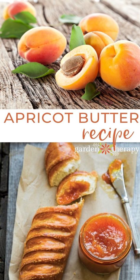 Apricot Butter Recipe, Apricot Butter, Fruit Butter, Apricot Recipes, Cheese And Crackers, Happy Kitchen, Homemade Butter, Garden Recipes, Easy Treats