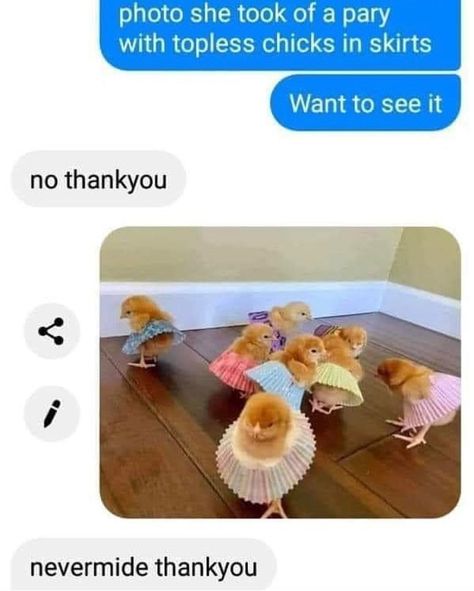 Wholesome Posts & Memes on Instagram: “nevermide 🐥 follow (@brightsideofig) for more wholesome posts 🎈” Funny Animal Jokes, Cute Memes, Wholesome Memes, Funny Animal Memes, Animal Jokes, Very Funny, On The Floor, Really Funny Memes, Cute Little Animals