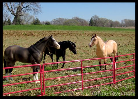 Breyer Horses Scenes, Schleich Horses Stable, Bella Sara, Diy Horse Barn, Bryer Horses, Breyer Horse, Peter Stone, Horse Ideas, Mini Horse