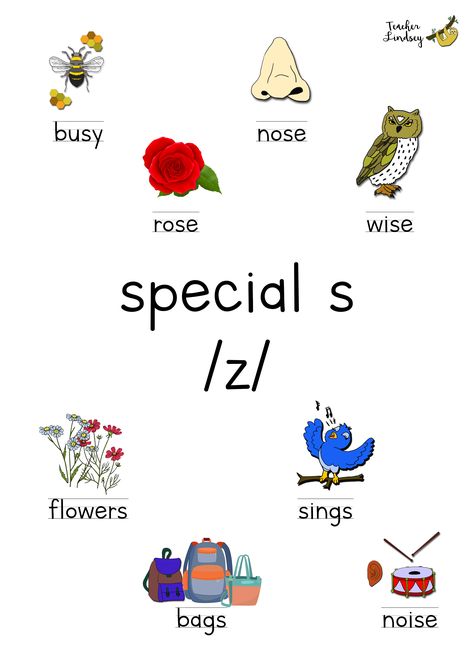 Poster containing images and text for special s /z/ words. English Poems For Kids, Phonics Chart, Phonics Worksheets Free, Reading Phonics, Blends Worksheets, Kindergarten Phonics Worksheets, Free Posters, Phonics Free, Alphabet Sounds