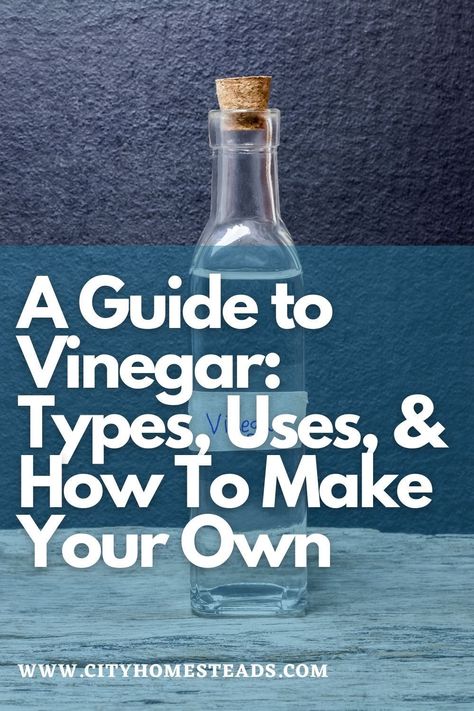 Vinegar has been used for centuries as a health tonic and is also a beloved product in the modern pantry, medicine cabinet, and as a household cleaner. In this article, we’ll explore different types of vinegars and their most popular uses, so you can decide which varieties are best to keep in your home. Making Vinegar, Types Of Vinegar, Modern Pantry, Homesteading For Beginners, Health Tonic, Homegrown Food, Flour Alternatives, Food From Scratch, Healthy Life Hacks