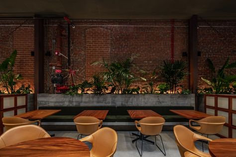 Entrance Residential, Los Angeles Restaurants, Stucco Walls, Exposed Concrete, Green Curtains, Interior Photography, Media Images, Residential Design, Modern Spaces