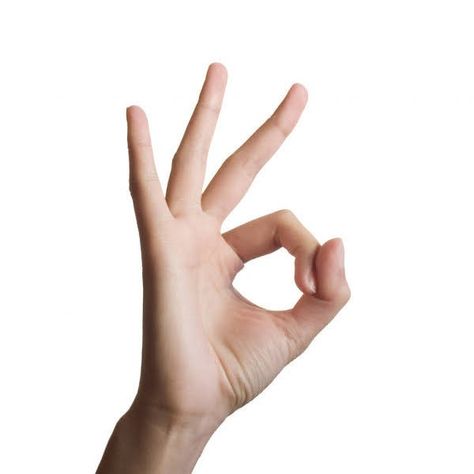 Hand Png, Jackie Chan Adventures, Hand Gesture, Hand Reference, Anime Poses, Art Reference Poses, Figure Drawing, Pose Reference, Drawing Reference