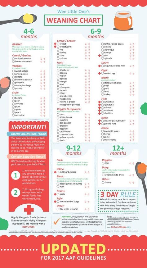 A little over five years ago I was in the middle of introducing solid foods to my first child and found the amount of information on the topic to be a bit overwhelming. As a graphic designer (and mom who needs a feeling of control) I decided to summarize everything I found about baby weaning into an organized infographic. Since posting the first version of this chart back in 2012, I have received an overwhelming response from readers who had been looking for something to help them in their we... Blw 4 Months Led Weaning, Baby Led Weaning 4 Months, Baby Allergen Introduction, Baby Leading Weaning, Baby Led Weaning First Foods 6 Months, Baby Led Weaning 6 Months, Introducing Solids To Baby, Weaning Chart, Introducing Baby Food