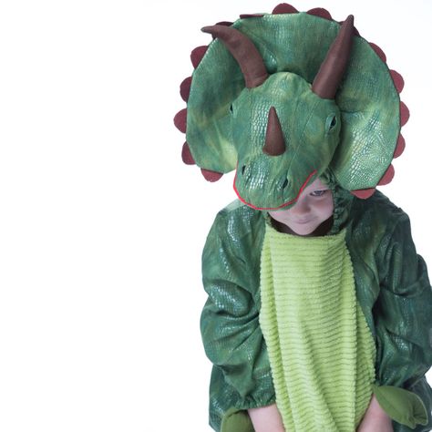 Trouvée sur Bing sur www.notonthehighstreet.com Triceratops Costume, Funny Toddler Halloween Costumes, Family Costumes Diy, Childrens Fancy Dress, Kids Presents, Dinosaur Halloween Costume, Dinosaur Halloween, Homemade Costume, Up Costume