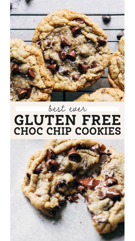 gluten free chocolate chip cookies Best Gluten Free Chocolate Chip Cookies, Gluten Free Cookies Chocolate Chip, Choclate Chip Cookie Recipe, Gf Chocolate Chip Cookies, Picnic Dishes, Chocolate Chip Cookies Gluten Free, Soft Chewy Chocolate Chip Cookies, Best Gluten Free Cookies, Paleo Chocolate Chip Cookies