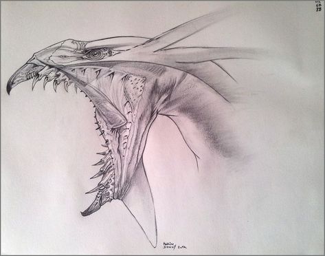 Avatar Banshee Drawing, Avatar Dragons Pandora, Ikran Avatar Drawing, Avatar Sketch Movie, Ikran Avatar Tattoo, Banshee Pandora, Banshee Drawing, Avatar Drawings Pandora, Ikran Banshee