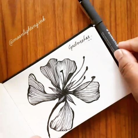 Quick Gulmohar (Royal Poinciana) Doodle/Botanical line art !  Comment below what you want me to doodle next :) Sketchbook :… Gulmohar Flowers Drawing, Gulmohar Drawing, Royal Poinciana Tattoo, Poinciana Tattoo, Royal Poinciana Flower, Doodle Botanical, Royal Poinciana, Flower Doodle, Botanical Line Art