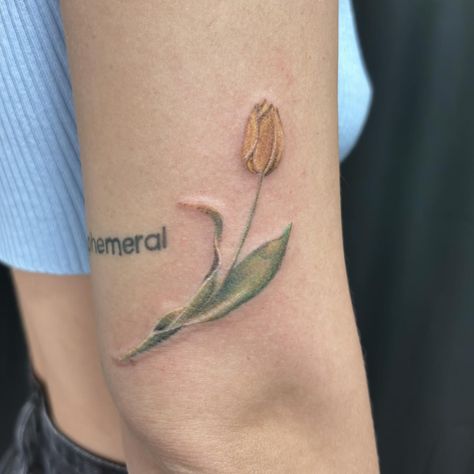 Color tulip tattoo Programari in privat ✅🌷 #tulip #tulips #🌷 #yellowtulips #tattoo #colortattoo #smallcolortattoo #smalltattoo #smalltattoosforgirls #flowers #flower #flowerpower #tatuajeconstanta #constantatattoo #tattooconstanta #fyp #fypシ #fy #mktattoo Tulip Tattoo Collar Bone, Tulips Tattoos, Tattoo Collar Bone, Tulip Tattoo, Small Girl Tattoos, Collar Bone, Yellow Tulips, Color Tattoo, Small Tattoos