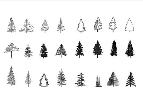 Trees Drawing, Coniferous Trees, Conifer Trees, Drawing Block, Palm Plant, Cad Blocks, Autocad Drawing, Cad Drawing, Tree Drawing