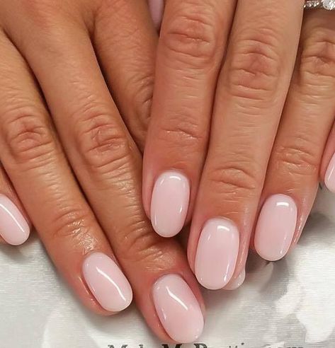 Nails Plain, Short Oval Nails, Nails Acrylic Square Long, Oval Nails Designs, Red Nails Acrylic, Wine Red Nails, Natural Nails Manicure, Nails Acrylic Square, Natural Nail Art