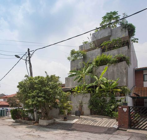 Planter Box House / Formzero Box House, Concrete Home, Real Estate Humor, Real Estate Quotes, Box Houses, Tropical House, Tropical Houses, Planter Box, Concrete Planters