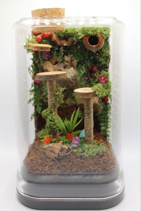 Tarantula Terrarium, Spider Terrarium, Tarantula Enclosure, Jumping Spider Enclosure, Spider Enclosure, Pet Tarantula, Snake Terrarium, Spider House, Jumping Spiders