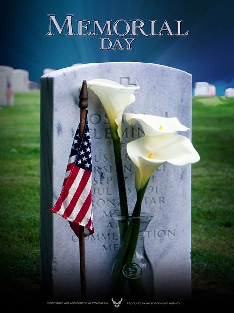 Celebrate Veterans Day Memorial Day Background, Memorial Day Pictures, Memorial Day Quotes, 2k Wallpaper, Arlington National Cemetery, God Bless The Usa, National Cemetery, Day Background, Veteran's Day