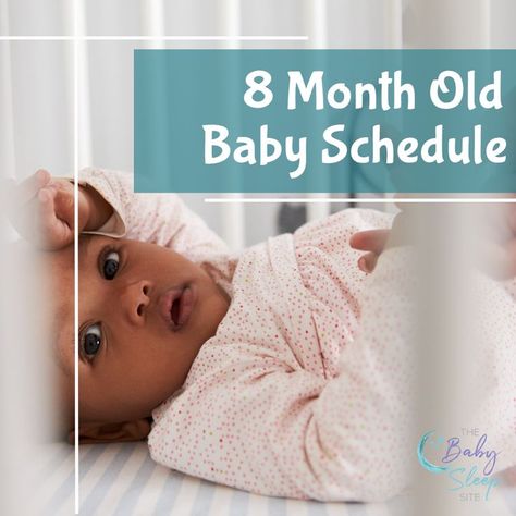 8 month old baby sleep and feeding schedules 8 Month Old Schedule, Baby Sleep Through The Night, 8 Month Baby, Baby Schedule, Formula Feeding, Help Baby Sleep, Sleep Consultant, Toddler Sleep, Sleep Schedule