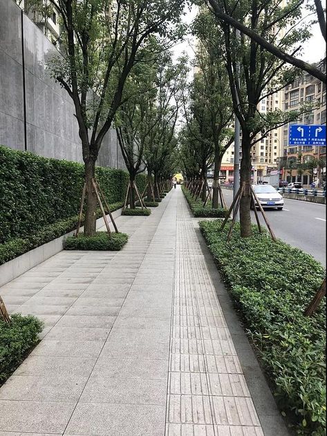 Urban Walkway Design, Traffic Calming Urban Design, City Sidewalk, Streetscape Design, Side Walk, Urban Tree, Pedestrian Walkway, Street Trees, Landscape Elements