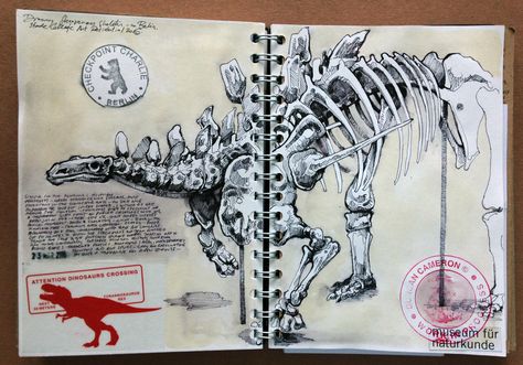 Dinosaurs - Drawing in my sketchbook in the Natural History Museum, Berlin, Germany. March 2016 www.duncancameron.org Art History Sketchbook, Museum Sketchbook, Dinosaurs Drawing, Duncan Cameron, Dinosaur History, Fox Bones, Museum Studies, Dinosaur Dinosaur, Gcse Art Sketchbook