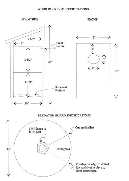 Wood Duck Nesting Box Diagram Duck Nesting, Wood Duck House, Duck House Plans, Duck Houses, Detailed House, Birdhouse Plans, Suet Cakes, Hummingbird Plants, Box Construction