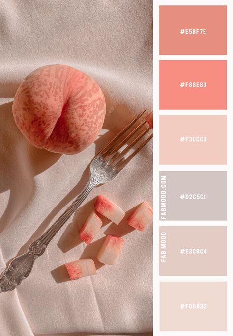 peach fuzz, Pantone Colour Of The Year 2024, peach, color scheme, color extracted from image, peach color combo Peach Color Palette Colour Schemes, Colors That Go With Peach, Peach Colour Palette, Coral Color Combinations, Peach Colour Combinations, Grey Drawing, Rose Gold Color Palette, Chopped Fruit, Peach Color Schemes