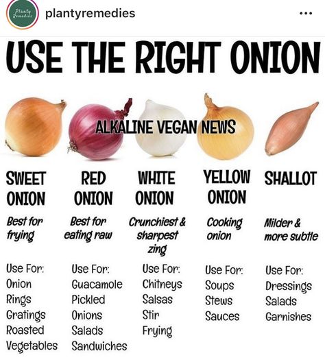 Onion Types, Food Workout, Onion Leeks, Cooking Onions, Onion Sauce, Fit Lifestyle, Healthy Eating Tips, Eating Raw, Fitness Health