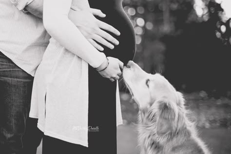 Maternity photo, maternity pose, outdoor maternity session, Seattle maternity shoot, maternity outfit idea, maternity photo with dog,  Ashley Danielle Photography: Maternity Session | Maple Valley, WA Family Photo Outfits Winter, Photo Bb, Winter Maternity Photos, Fall Maternity Photos, Maternity Photography Poses Outdoors, Outdoor Maternity Photos, Maternity Photography Poses Couple, Maternity Photography Poses Pregnancy Pics, Maternity Photography Outdoors