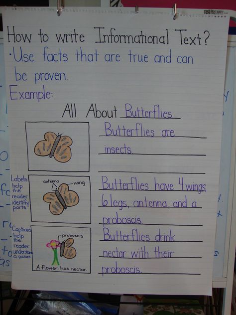 WE Write and read mostly informational text in science!  informational text anchor charts - Google Search Informational Text Anchor Chart, Informational Writing Anchor Chart, Fiction Anchor Chart, Writing Informational Text, Explanatory Writing, Second Grade Writing, Kindergarten Anchor Charts, 3rd Grade Writing, 2nd Grade Writing