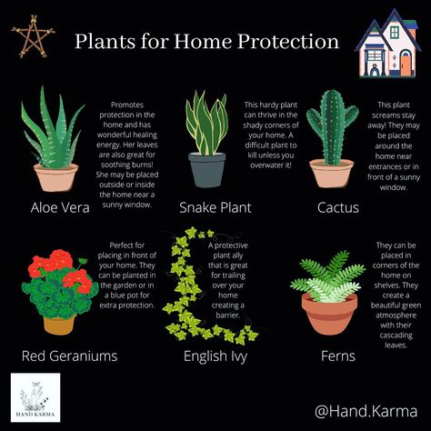 Protection Flowers Witchcraft, Witch Protection For Home, Wiccan Home Protection, Plants For Home Protection Witchcraft, Witch Plants Indoor, Plants Used In Witchcraft, Witchy Plants And Meanings, House Plants For Witches, Witch House Plants