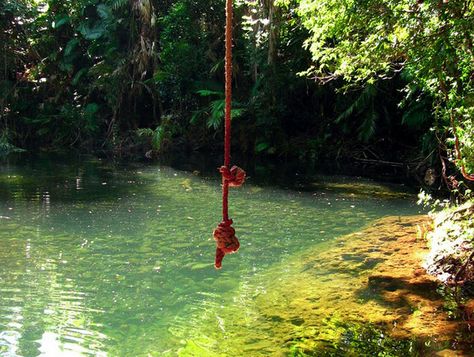 Adventure Journal, Swimming Hole, Swimming Holes, The List, Trees, Swimming, Sun, Water