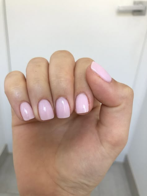 Pastel Pink Shellac Nails, Cute Short Acrylic Nails Light Pink, Short Pink Shellac Nails, Short Square Nails Light Pink, Pink Sns Nails Short, Short Light Pink Nails Square, Short Light Pink Dip Nails, Light Pink Squoval Nails, Pale Pink Square Nails