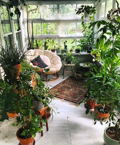 Sunroom Decorating Ideas  #sunroomdecoratingideas #sunrooms #sunroomdecor #sunroomdesigninspiration #beautifulsunrooms Indoor Sunrooms, Small Sunroom, Apartment Patio, Bedroom Plants, Plant Decor Indoor, House Plants Decor, Trendy Bedroom, Room With Plants, Small Space Gardening