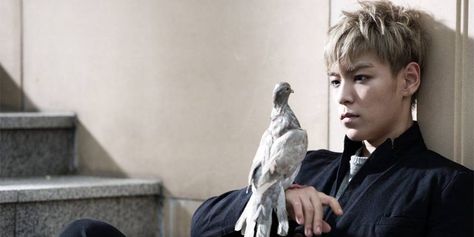 Bird Reference, Top Choi Seung Hyun, Big Bang Top, Vip Bigbang, G-dragon, Top Bigbang, Fantastic Baby, Pop Bands, G Dragon