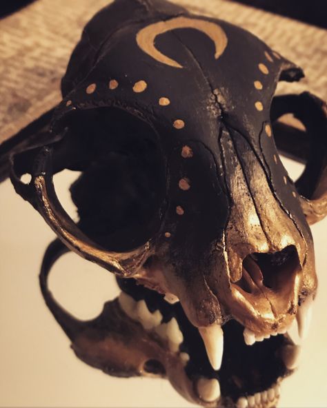 Animal Skull Mask Diy, Animal Skull Painting Ideas, Painted Animal Skulls Ideas, Animal Skull Crafts, Painted Skull Ideas, Animal Skull Painting, Deer Skull Painting, Animal Bone Art, Painted Bones