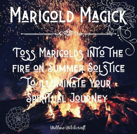 Fire Magick, Witch Plants, Solar Witch, Amaterasu Omikami, Wicca Holidays, Summer Equinox, Midsummer's Eve, Pagan Magick, Witch Things