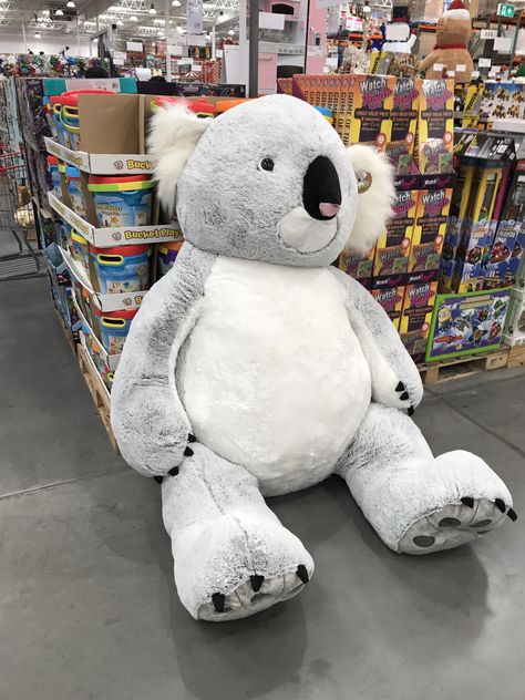 Costco in Australia has giant koalas as well as the usual giant bear. Oversized Stuffed Animals, Koala Stuffed Animal, Big Stuffed Animal, Giant Stuffed Animals, Koala Plush, Large Teddy Bear, Big Teddy Bear, Big Teddy, Giant Teddy Bear