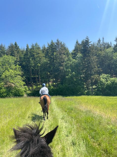 Summer Horse Aesthetic, Horse Field Aesthetic, Horse Camp Aesthetic, Horse Summer Aesthetic, Hacking Horse, Eventing Aesthetic, Horse Hacking, Summer Horse Riding, Aesthetic Horse Riding