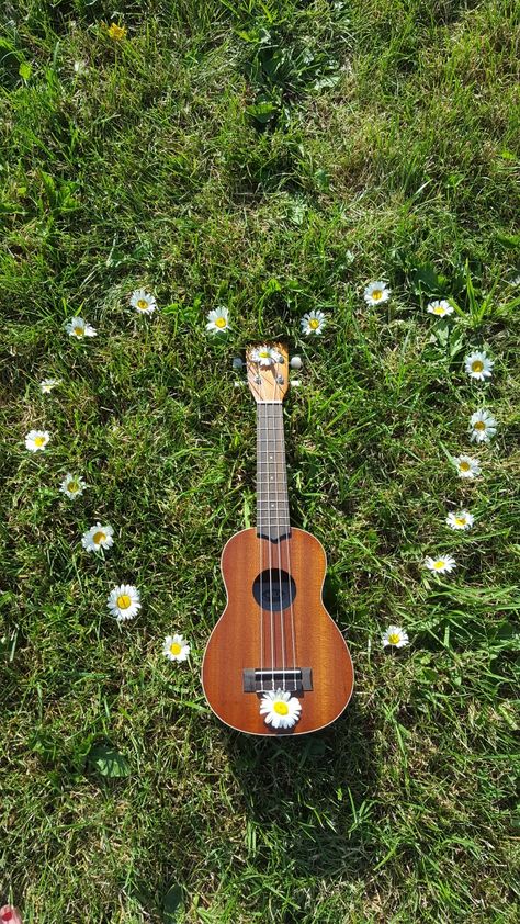 Ukuleles❤ Musical Instruments For Kids, Acoustic Guitar Tattoo, Painted Ukulele, Max Schneider, Acoustic Guitar Chords, Ukulele Art, Acoustic Guitar Case, All The Bright Places, Acoustic Guitar Lessons