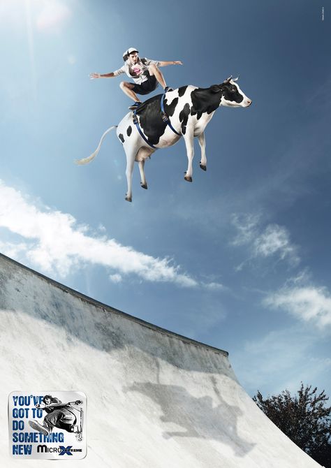 ramp Funny Commercial Ads, Funny Commercials, Surreal Artwork, Cows Funny, Communication Design, Silly Animals, Creative Ads, Creative Advertising, Do Something