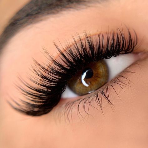 Lash Shapes, Natural Fake Eyelashes, Eye Makeup Images, Lashes Fake Eyelashes, Lash Extensions Makeup, Eyelash Extensions Styles, Perfect Eyelashes, Pretty Lashes, Natural Eyelash Extensions