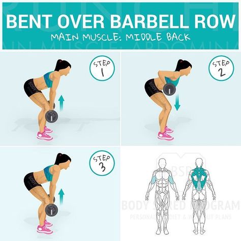 Bent over barbell row Weight Lifting Plan, Push Day Workout, Personal Training Programs, Barbell Row, Push Day, Fitness Plan, Light Exercise, Workout Plan For Women, Hard Workout