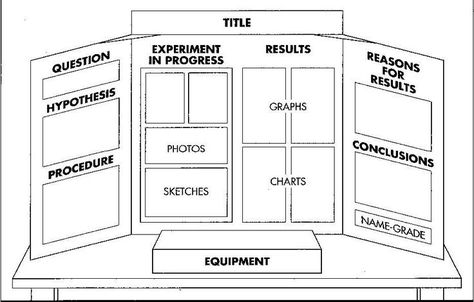 Science Fair Poster, Kids Science Fair Projects, Science Fair Board, Science Fair Projects Boards, Cool Science Fair Projects, Fair Poster, Presentation Ideas For School, Science Fair Ideas, Booklet Template