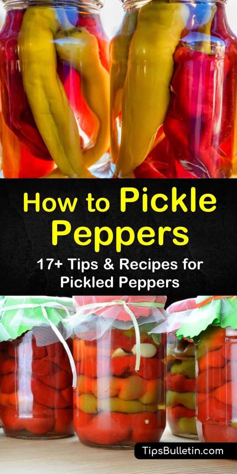 Snack Pepper Ideas, Pickled Hot Peppers Refrigerator, Pickled Peppers Refrigerator, Pickle Peppers Recipe, Pickled Hot Peppers Recipes, Canned Hot Peppers, Picked Peppers, Homemade Groceries, Pickle Peppers